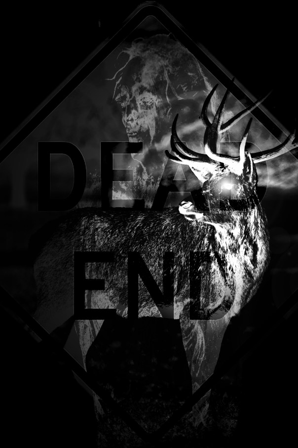 Road Kill Counting Book illu2